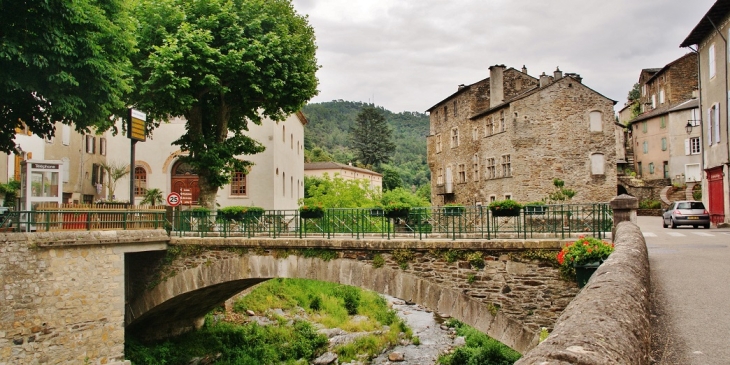 Pont sur le Gardon - Saint-André-de-Valborgne