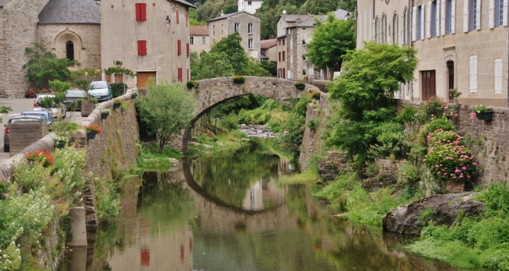 Pont Vieux sur le Gardon - Saint-André-de-Valborgne