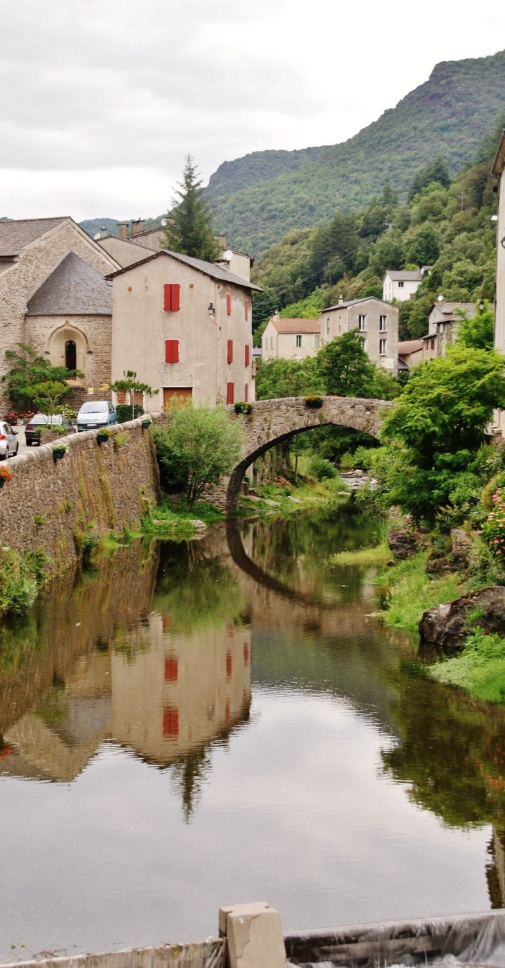 Pont Vieux sur le Gardon - Saint-André-de-Valborgne