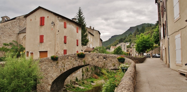 Pont Vieux sur le Gardon - Saint-André-de-Valborgne