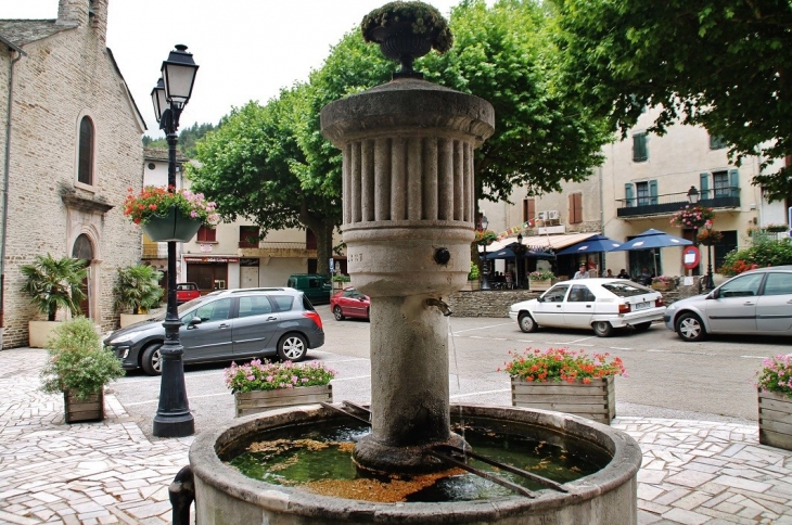 Fontaine - Saint-André-de-Valborgne