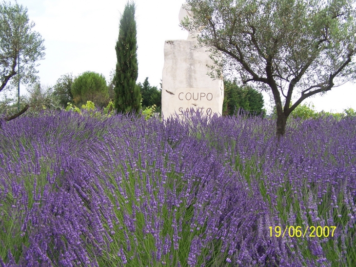 Entré du village - Saint-Chaptes