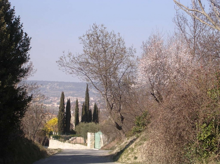 Chemin de la Roque de Viou - Saint-Dionizy