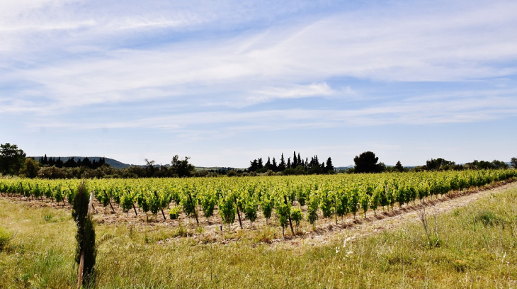 La Campagne - Saint-Hilaire-d'Ozilhan