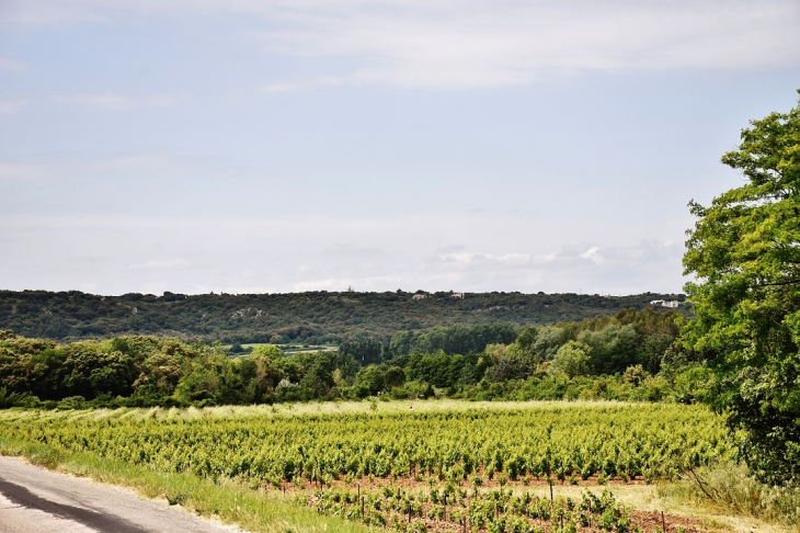 La Campagne - Saint-Hippolyte-de-Montaigu