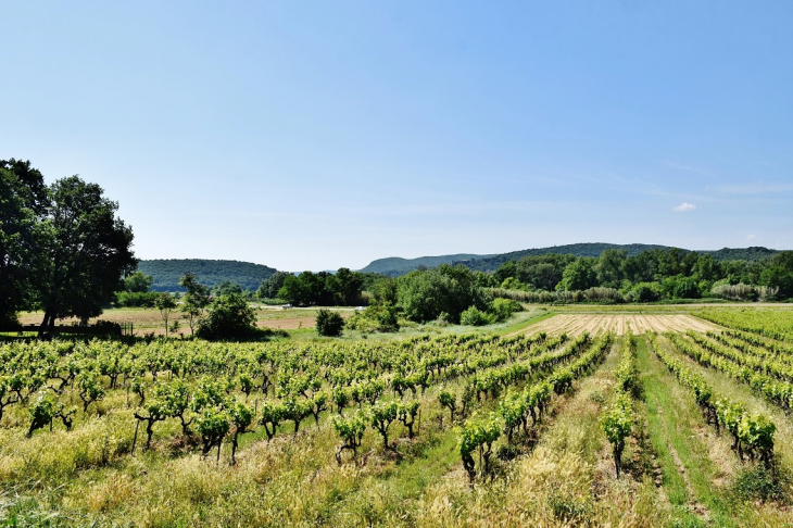 Vignobles - Saint-Laurent-de-Carnols