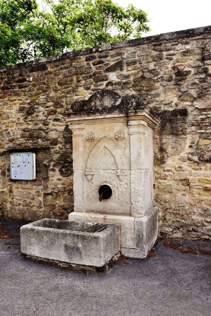 Fontaine - Saint-Laurent-la-Vernède