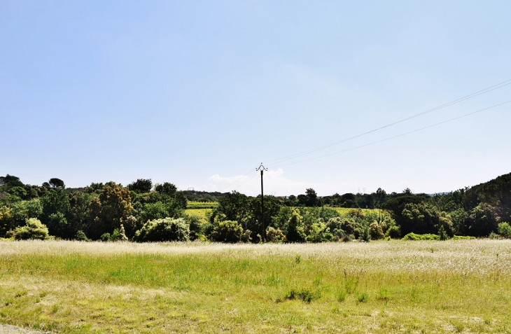 La Campagne - Saint-Michel-d'Euzet