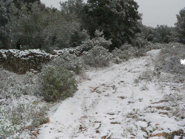 La garrigue sous la neige Russan - Sainte-Anastasie