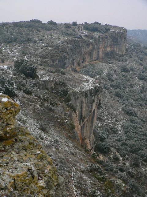 Le catellas (gorge du Gardon) russan - Sainte-Anastasie