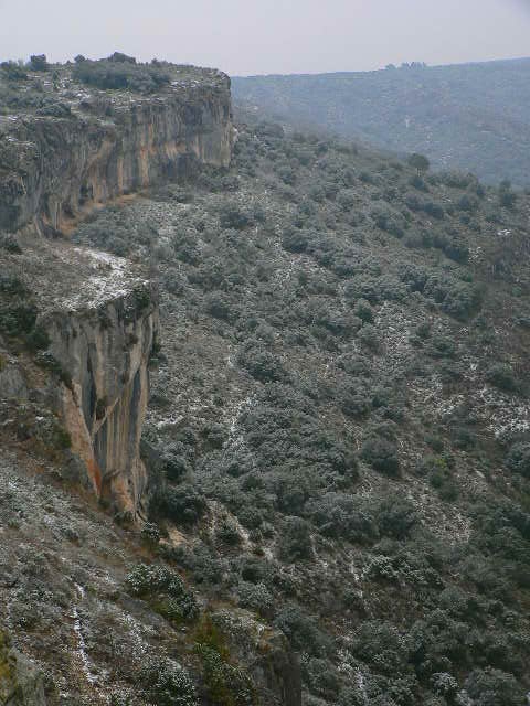 Le catellas (gorge du Gardon) russan - Sainte-Anastasie