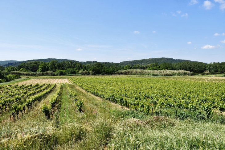 La Campagne - Salazac