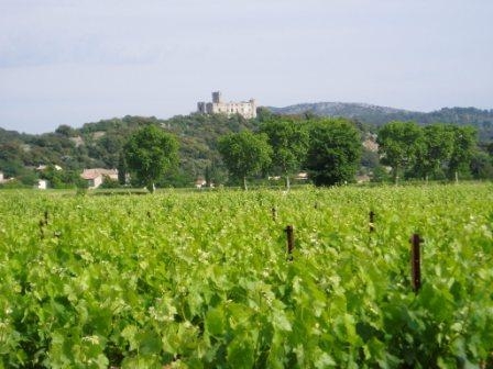 Vue du vignoble et du château de Tornac