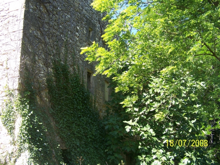 Village - Vallérargues