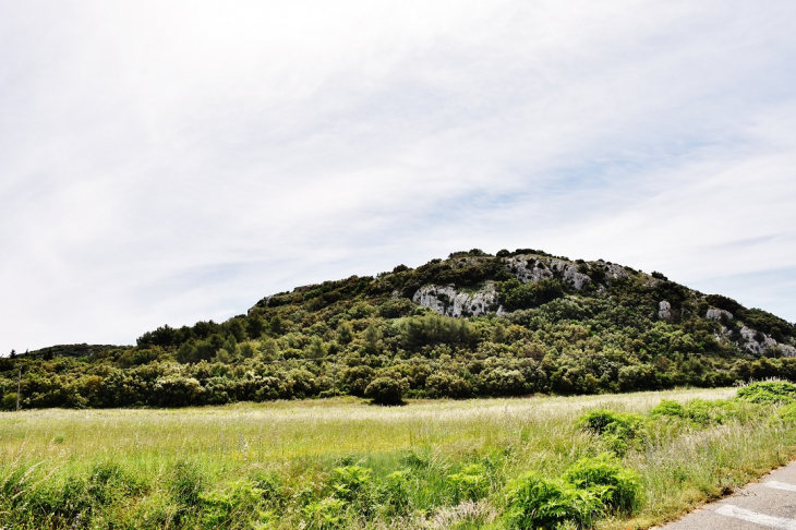 La Campagne - Valliguières