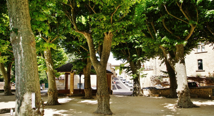 La Commune - Vers-Pont-du-Gard