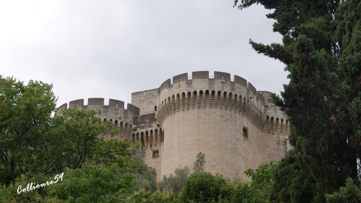  - Villeneuve-lès-Avignon