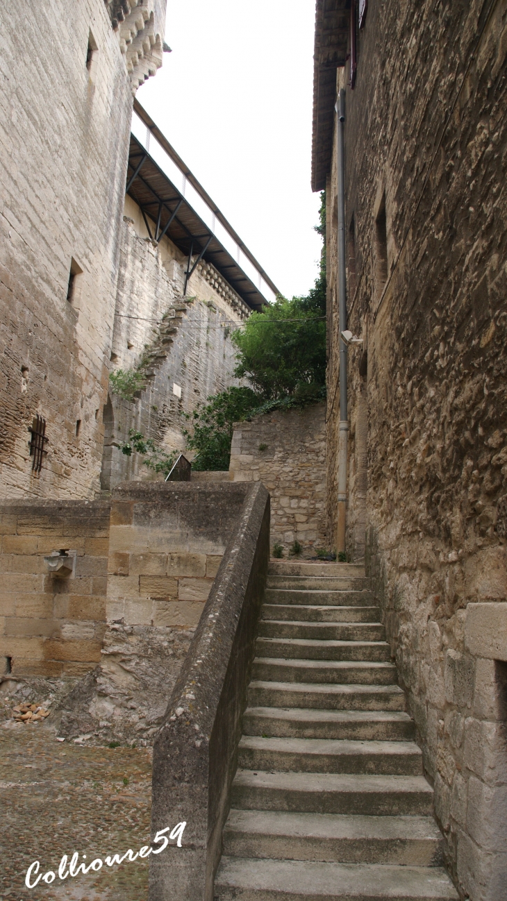  - Villeneuve-lès-Avignon