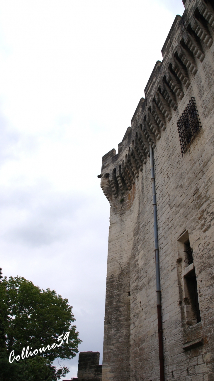  - Villeneuve-lès-Avignon