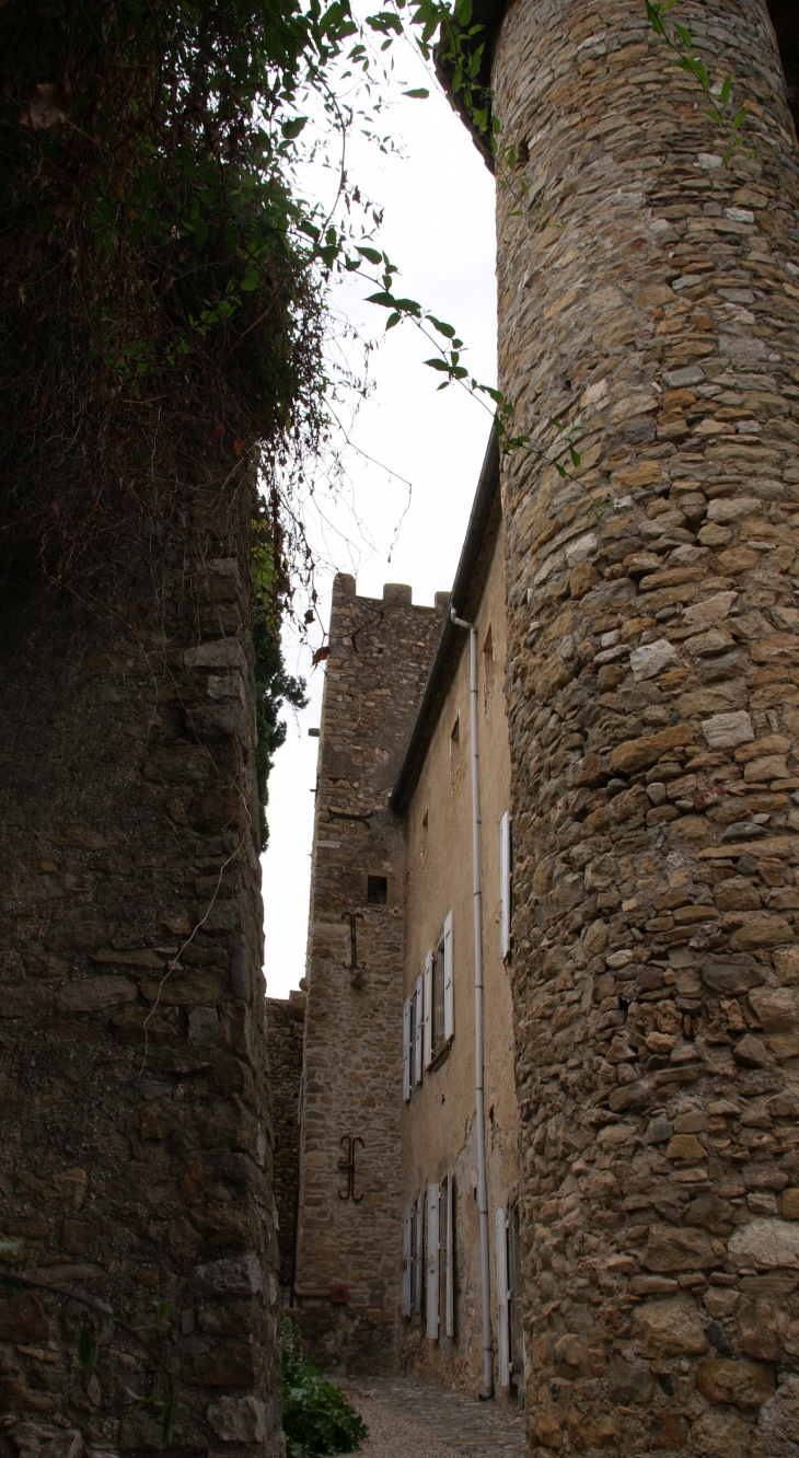 Château D'Agel 12 Em Siècle