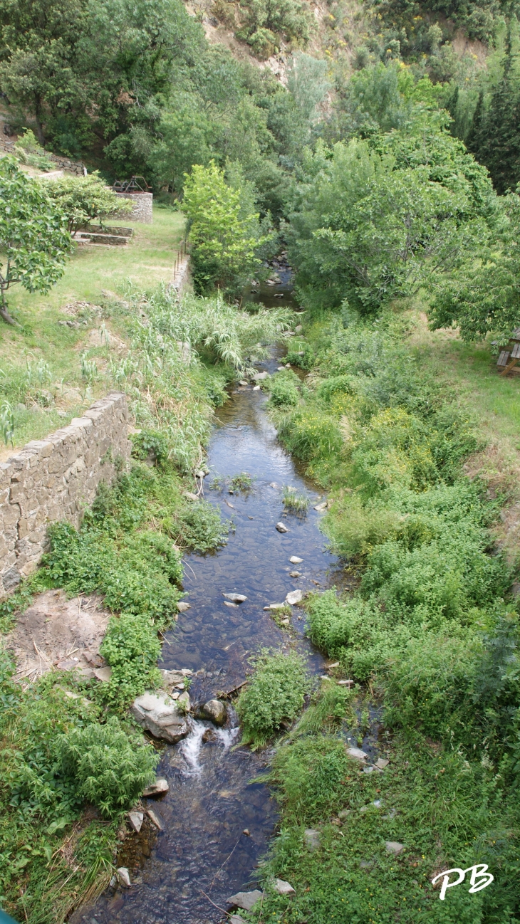 Le Rieu - Berlou