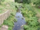 Photo précédente de Berlou Le Rieu