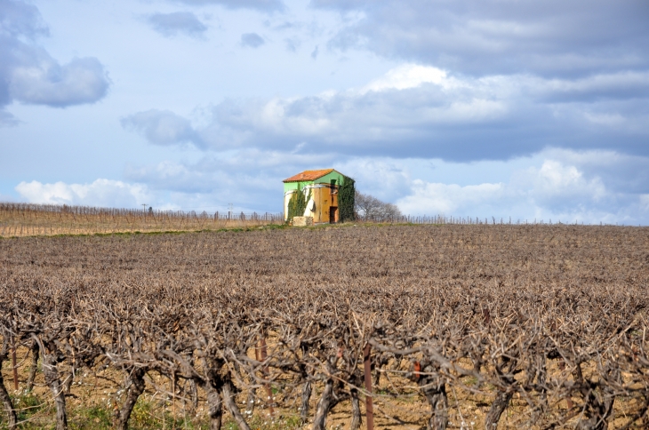 Cabane de vignes - Pech d'Hortes - Béziers