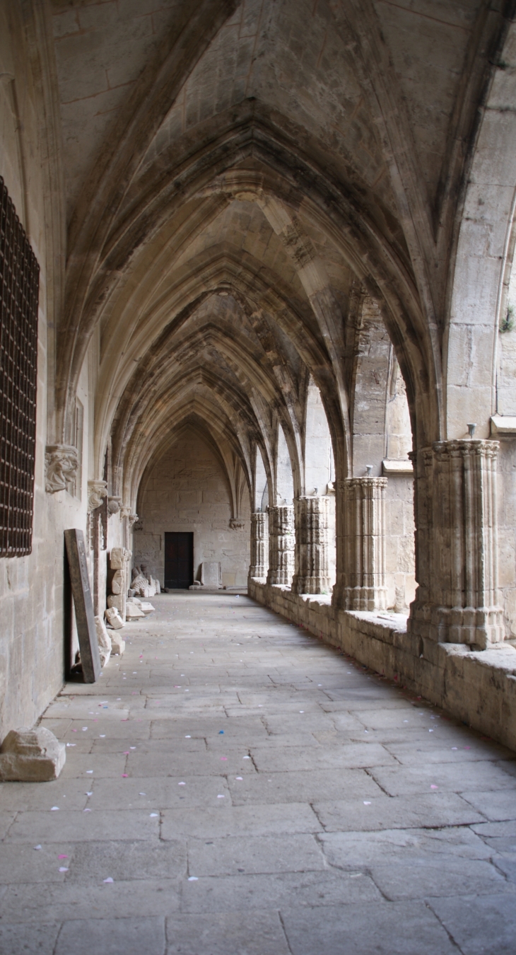 Cloître de la Cathédrale St Nazaire 14 Em Siècle - Béziers