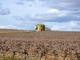 Photo suivante de Béziers Cabane de vignes - Pech d'Hortes