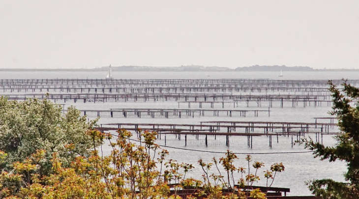 Parc a Huitres  - Bouzigues