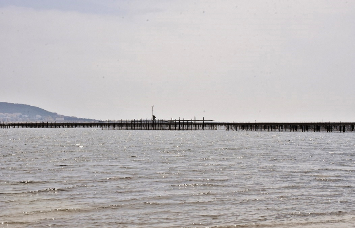 Parc a Huitres  - Bouzigues