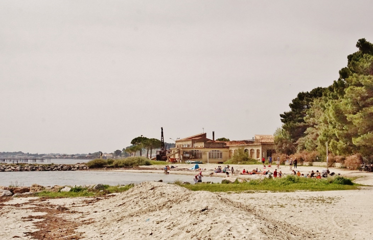 La Plage - Bouzigues