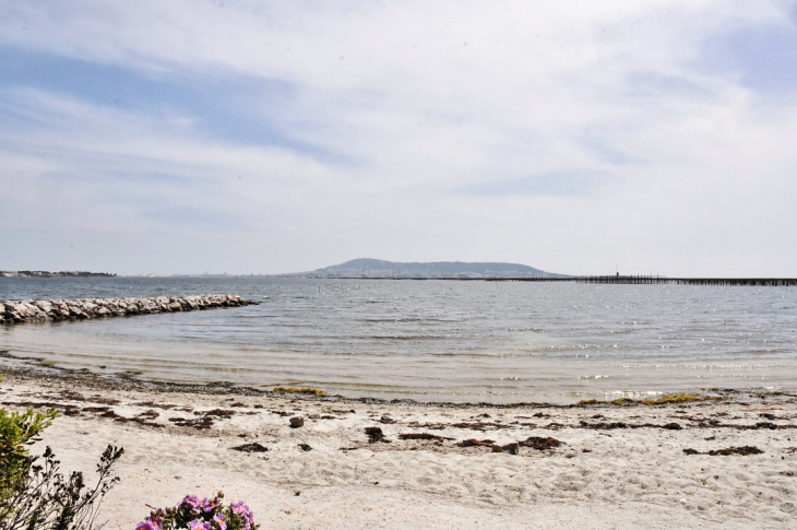 La Plage - Bouzigues