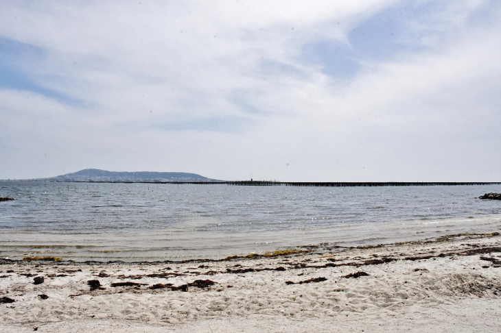 La Mer - Bouzigues