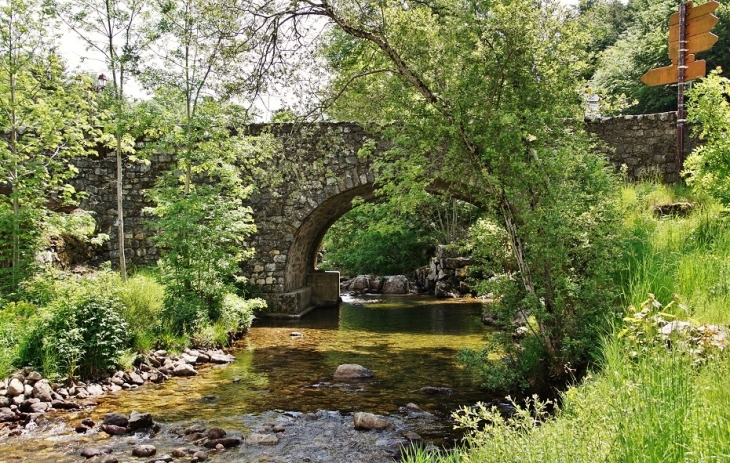 L'Agout - Cambon-et-Salvergues