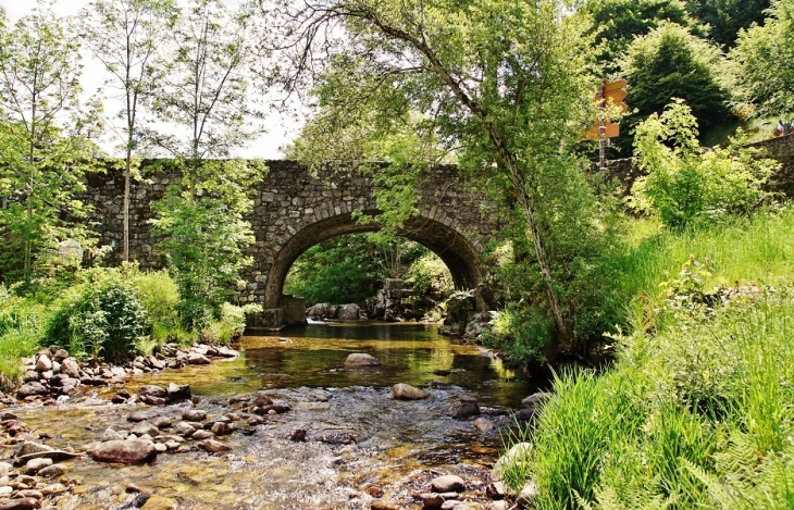 L'Agout - Cambon-et-Salvergues