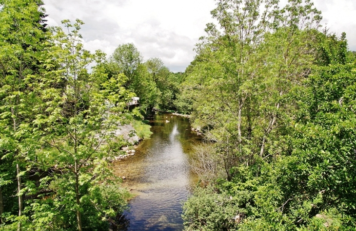 L'Agout - Cambon-et-Salvergues