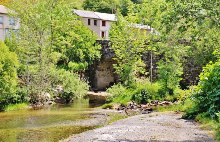 L'Agout - Cambon-et-Salvergues