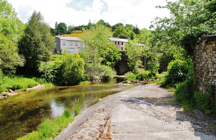 L'Agout - Cambon-et-Salvergues