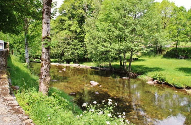 L'Agout - Cambon-et-Salvergues