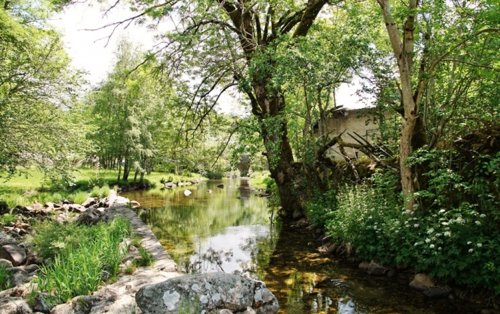 L'Agout - Cambon-et-Salvergues