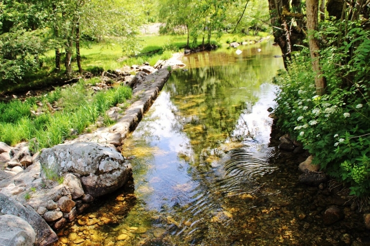 L'Agout - Cambon-et-Salvergues