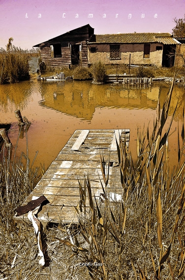 Vieille cabane dans les bayous de l'étang de l'Or - Candillargues