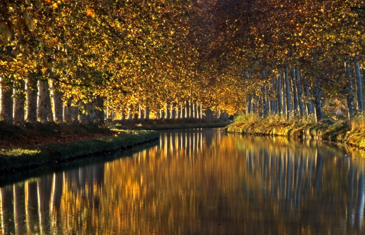 Canal du Midi à Capestang - Copyright Gérard Defrocourt / Office de tourisme du canal du Midi -