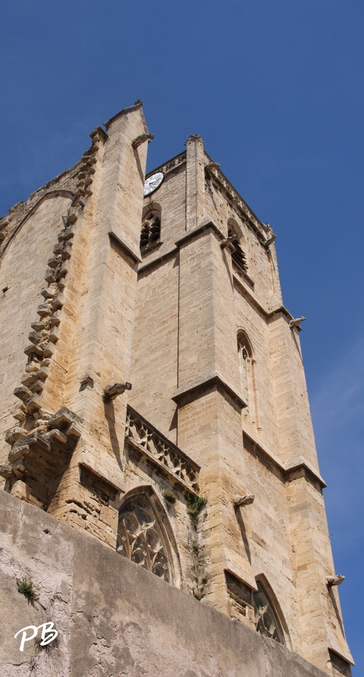 Collégiale Saint-Etienne ( 13 Em /15 Em Siècle ) - Capestang