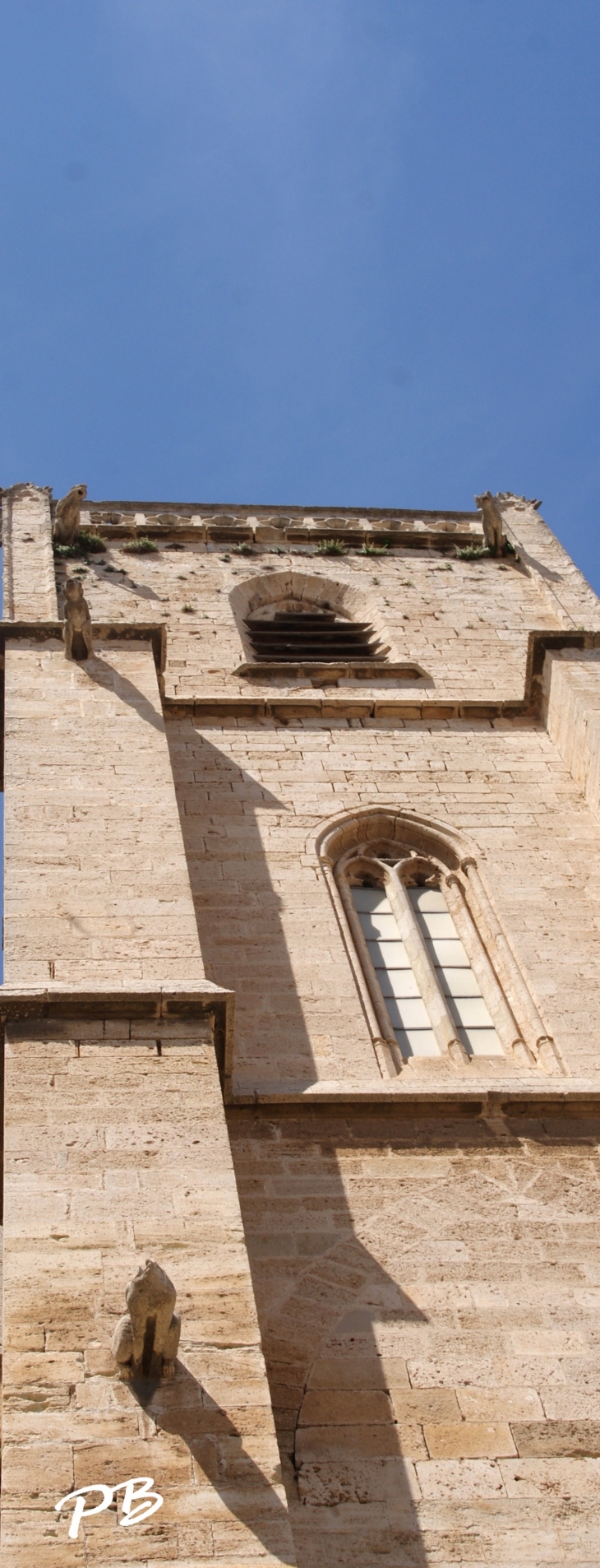 Collégiale Saint-Etienne ( 13 Em /15 Em Siècle ) - Capestang