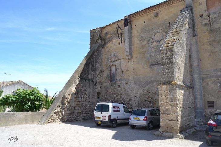 Château de L’Archevêque  - Capestang