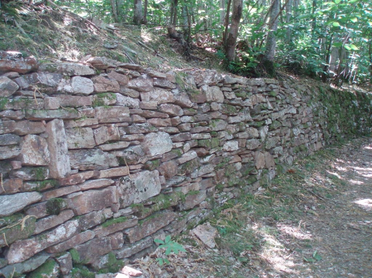 Chemin de compostelle andabre - Castanet-le-Haut