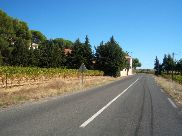 Routre de pomerols - Castelnau-de-Guers