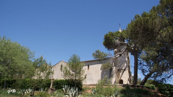 église Saint Amans - Cazedarnes